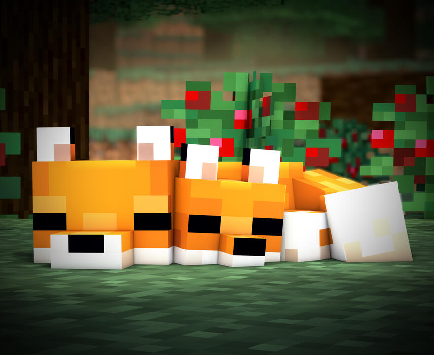 foxfamilysleeping
